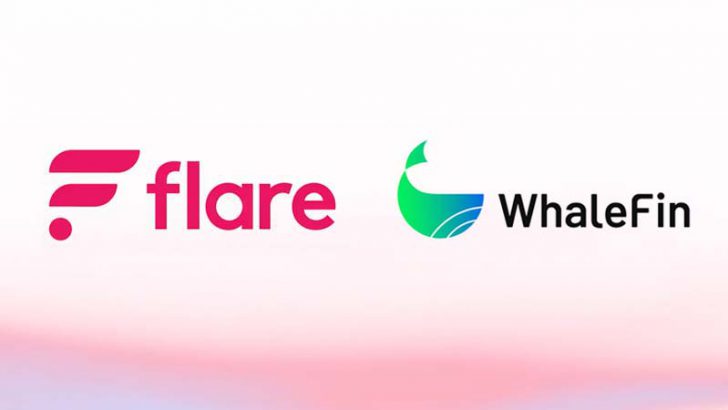 WhaleFin（旧：ディーカレット）Flareトークンの付与方針について続報｜ラップ分報酬も付与