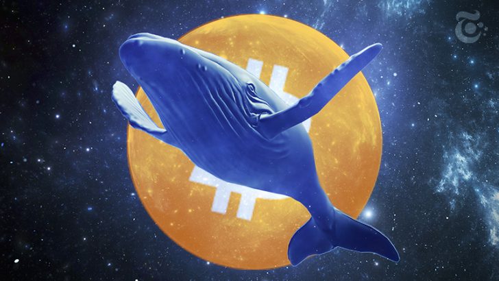 休眠状態だったビットコインクジラが「10年ぶりの資金移動」合計90億円相当の送金