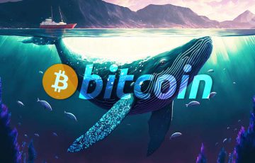 クジラがステーブルコインを「ビットコイン」に交換中｜価格低迷の裏でBTC蓄積の動き