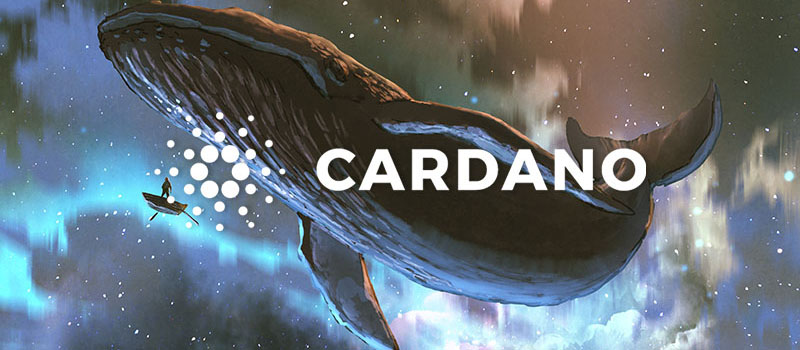 Cardano-ADA-Whale