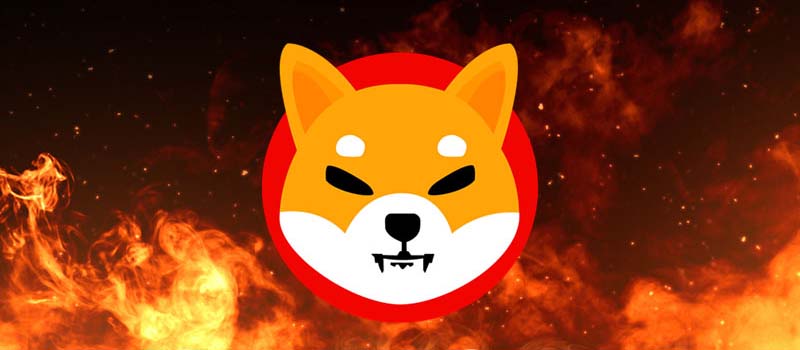 ShibaInu-SHIB-Burn