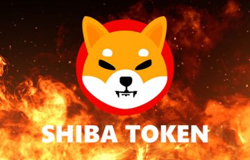 シバイヌ：1週間で約5億7,000万SHIBをバーン「Robinhood大量保有」の報告も