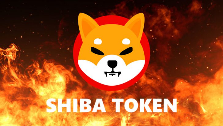 シバイヌ：1週間で約5億7,000万SHIBをバーン「Robinhood大量保有」の報告も