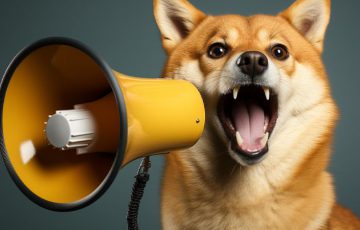 Shiba Inu：レイヤー2「Shibarium」の関連プロジェクトについて注意喚起