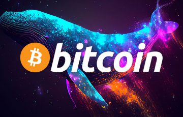 ビットコインの強気相場に向けた準備？「サメ・クジラのBTC保有量」が増加傾向
