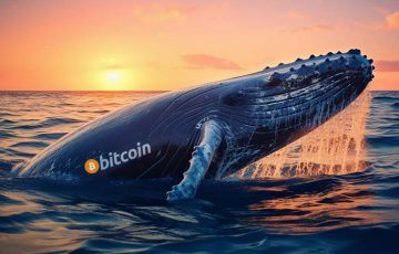 6年間休眠状態のクジラ「122億円相当のビットコイン」を移動