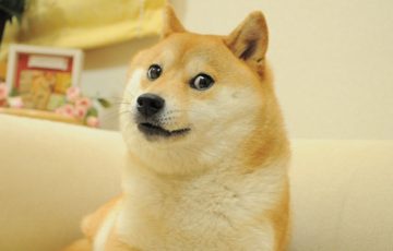 DOGEで知られる伝説の柴犬「かぼすちゃん」亡くなる：享年18歳