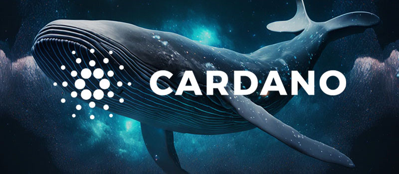 Cardano-ADA-Whale