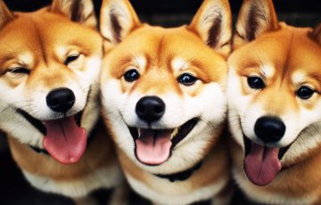 P2E版Shiba Eternityで「Shiboshis」がより魅力的に？LUCIE氏が最新情報を共有