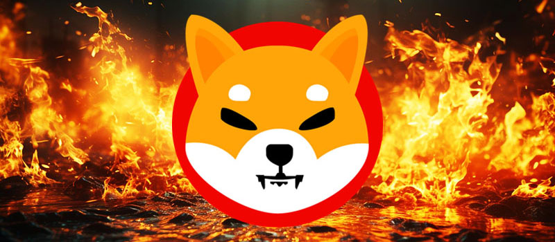 ShibaInu-SHIB-Burn
