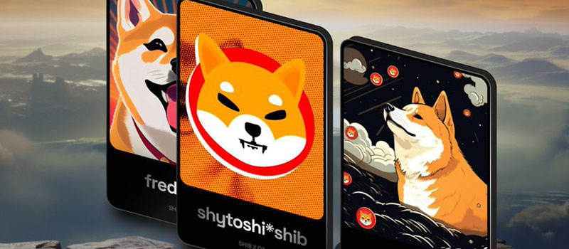 ShibaInu-SHIB-TLD-D3