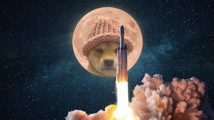 Solana基盤のミームコイン「Dogwifhat（WIF）」わずか10日で6倍以上の価格上昇