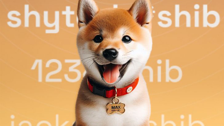 シバイヌ「*SHIB Name Token」導入へ｜マルチチェーン対応のユーザー名を提供