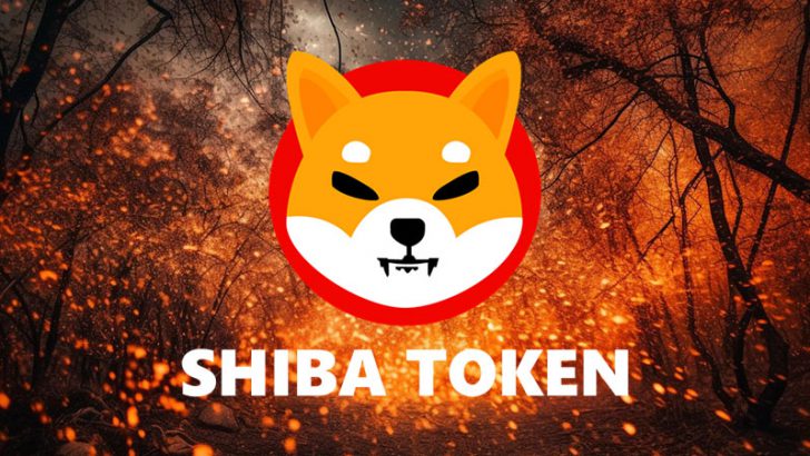 シバイヌL2のShibarium「第5回目のSHIBバーン」を実施｜合計処分枚数は400億を突破