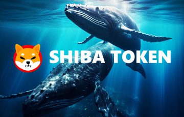 SHIBクジラは強気相場に向けて準備中？「数千億〜数兆枚規模の資金移動報告」続く