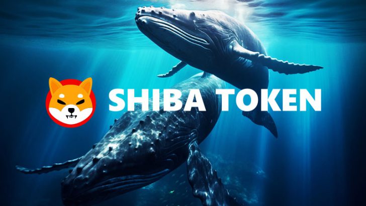 SHIBクジラは強気相場に向けて準備中？「数千億〜数兆枚規模の資金移動報告」続く