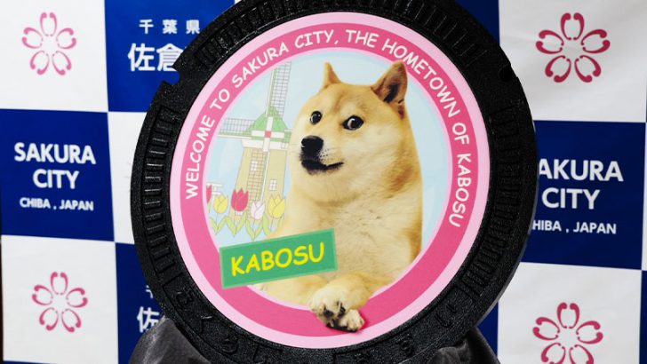 千葉県佐倉市：DOGEで知られる「かぼすちゃん」のマンホール設置