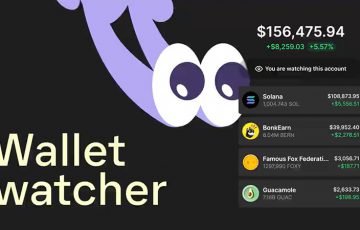 あの人が保有する仮想通貨をのぞき見｜Phantom「ウォレットウォッチャー機能」追加