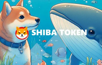 クジラウォレットへのSHIB流入額が「2,595％」増加｜下落中に買い増しか？