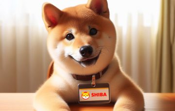 シバイヌの「*Shib Name Token」どんな名前を取得すべき？D3社がガイドライン公開