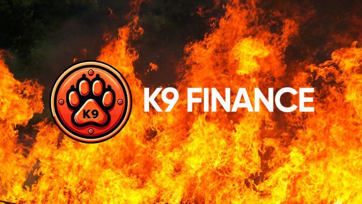 K9 Finance DAO「4億1,000万KNINEトークンのバーン提案」で投票実施【続報あり】