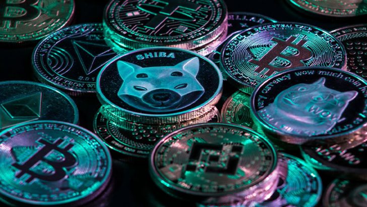 シバイヌのネットフローが3,015%急増｜新たなミームコイン「Milei Moneda（MEDA）」が今年の爆発的成長を目指す
