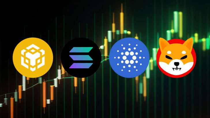 TradingViewが「仮想通貨/日本円チャート」を拡充｜BNB・SOL・ADA・SHIBなど