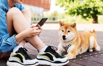 AIRian × SHIB「LEASH保有者向けのエアドロップイベント」を発表