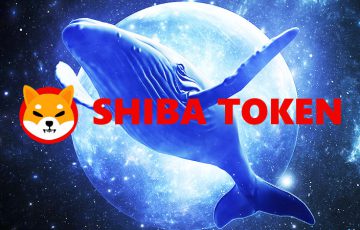シバイヌ初期投資家はまだまだ強気？クジラが「約13億円相当のSHIB」購入