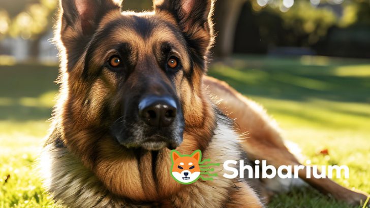 SHIB公式サイトで「KNINEのShibariumブリッジ」が可能に｜ShibaSwapもサポート予定