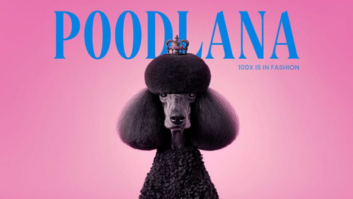 Poodlana（プードラーナ）の登場：ファッション要素を加えた注目のミームコイン