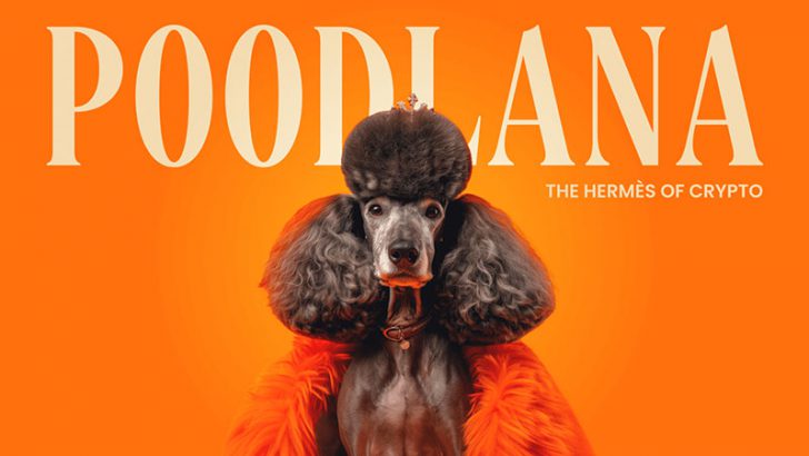 プードラーナ（Poodlana）はMEXC上場後に飛躍を目指す
