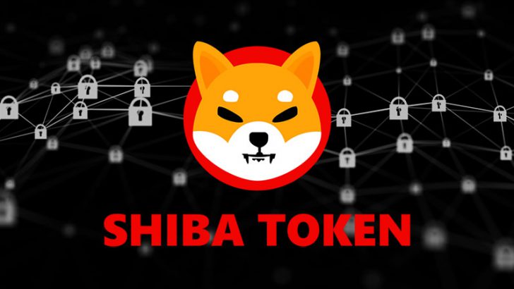 SHIBと提携したZAMAの完全準同型暗号（FHE）とは？影響や活用法をCEOが解説