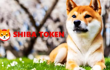 シバイヌ（SHIB）は「真の分散化フェーズ」へ｜主任開発者がTREATなどについて説明